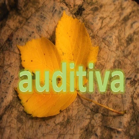 Auditiva