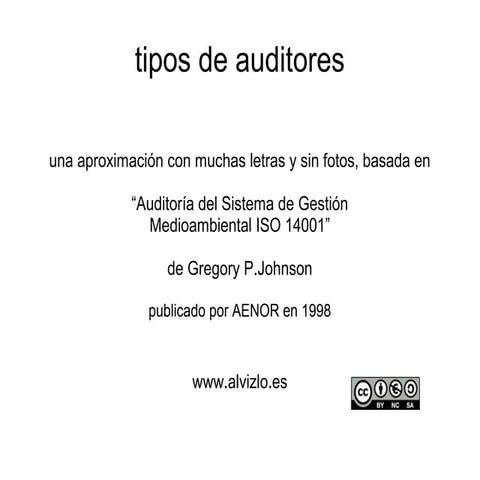 Auditores