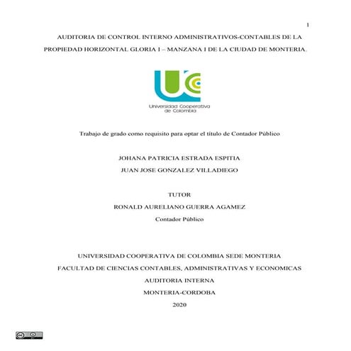 Auditoria de control interno | PDF