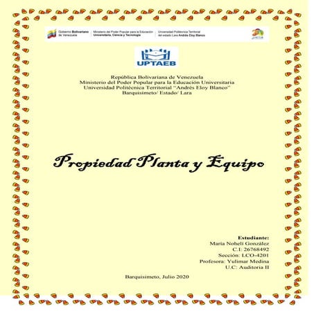 Auditoria de propiedad planta y equipo