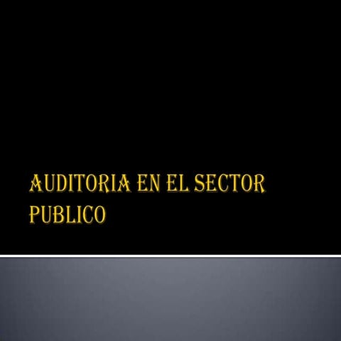 Auditoria en el sector publico | PPT