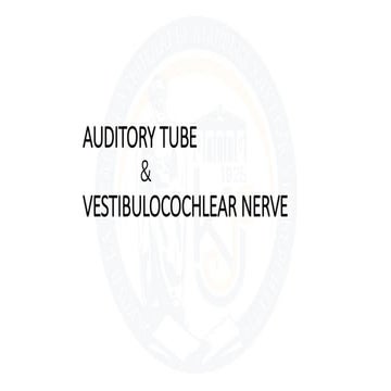 AUDITORY TUBE & VESTIBULOCOCHLEAR NERVE.pdf