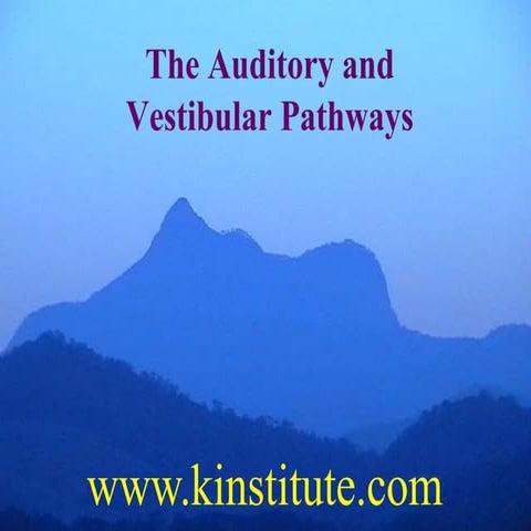 The Auditory and Vestibular Pathways