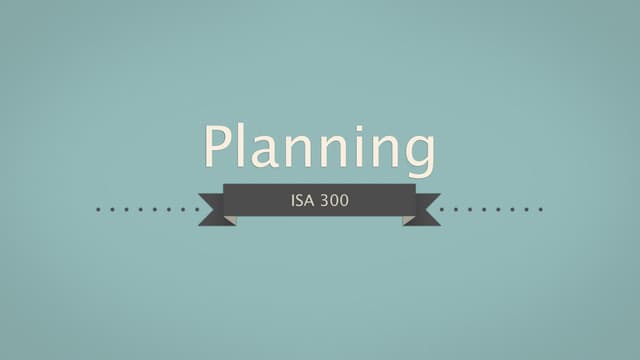 Audit planning