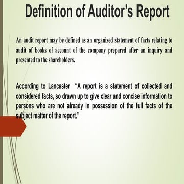 Audit Report