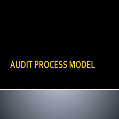 Audit process  model