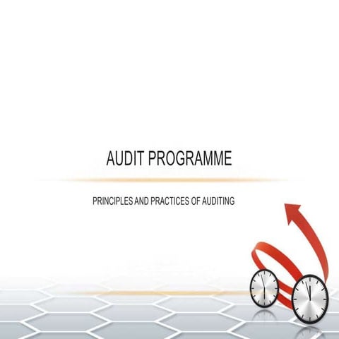 Audit programme
