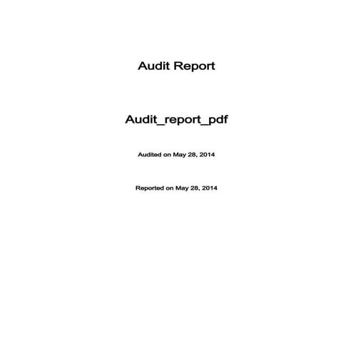  Отчет Audit report RAPID7