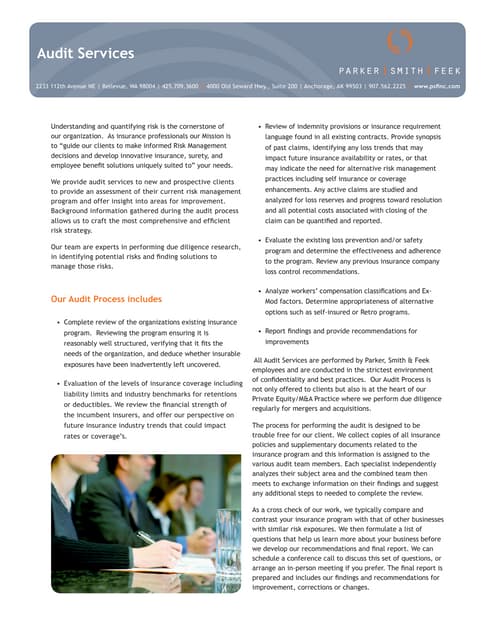 Audit Services