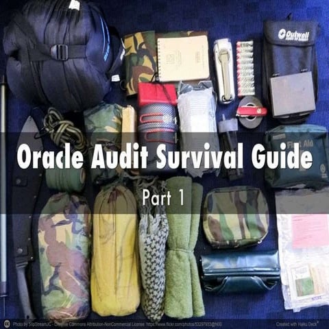 Oracle Audit Survival Guide