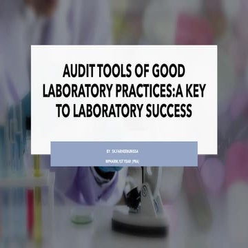 Audit tools in good regulatory practice.pdf