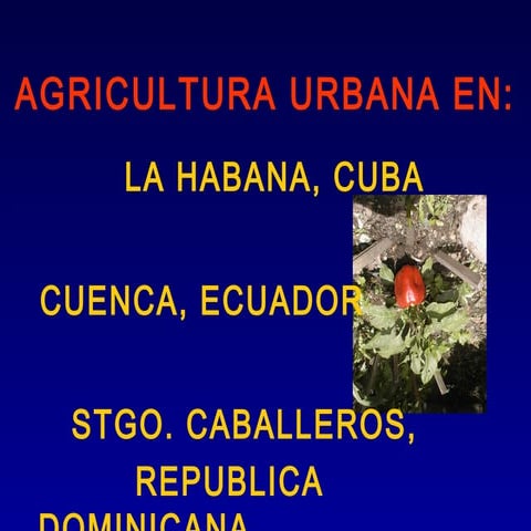 experiencias latinoamericanas de seguridad alimentaria