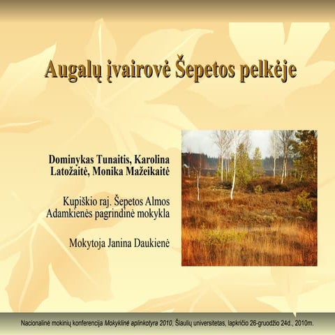 Augalu ivairove sepetos pelkeje4