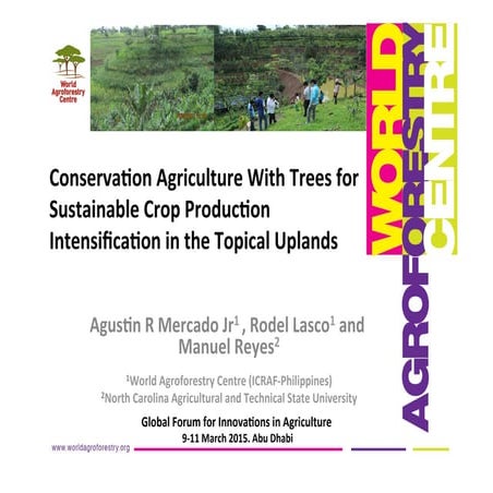 AugustinMercado-icraf-conservationagriculturewithtreesintopical uplands