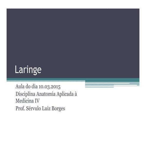 Aula 02.-laringe