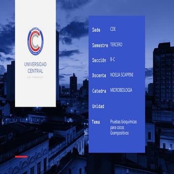 AULA.8.PUEBAS DE IDENTIFICACION.GRAMPOSITIVOS.pdf