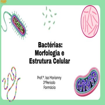 Comprehensive Overview of Bacterial Morphology and Cellular Structure | PDF