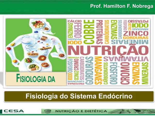 Aula 06   fisiologia do sistema end...