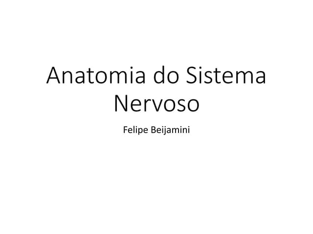 Aula 08   sistema nervoso