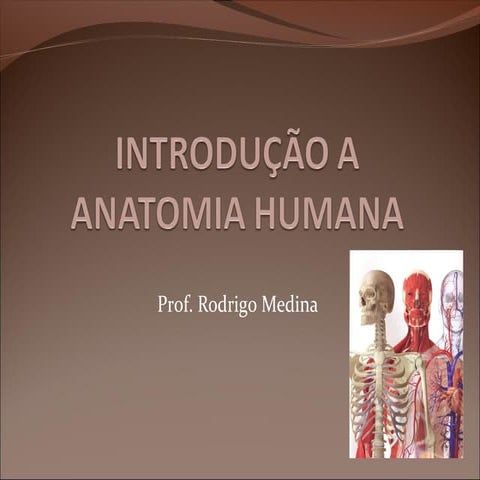 aula1-introduoaanatomiahumana-131104201542-phpapp02.pdf