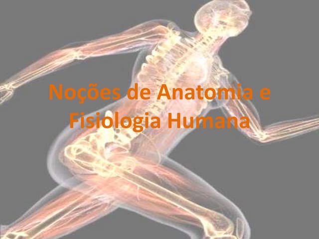 Aula 1   noções de anatomia