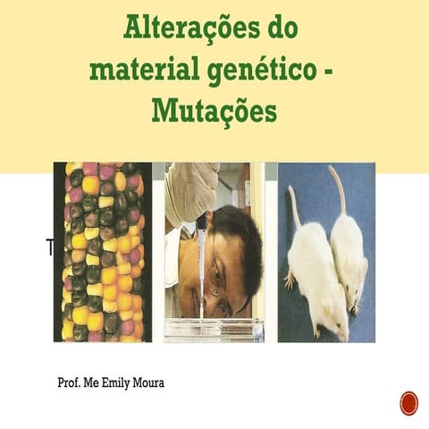 Aula 10. Mutações.pptttttttttttttttttttttttttttttttttttt