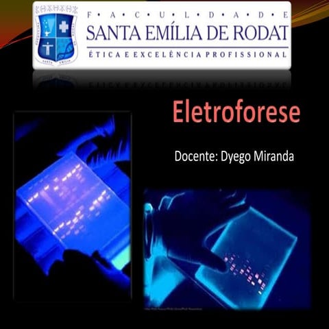 Mechanism of interaction of Ethidium Bromide (EtBr) with DNA | PPTX