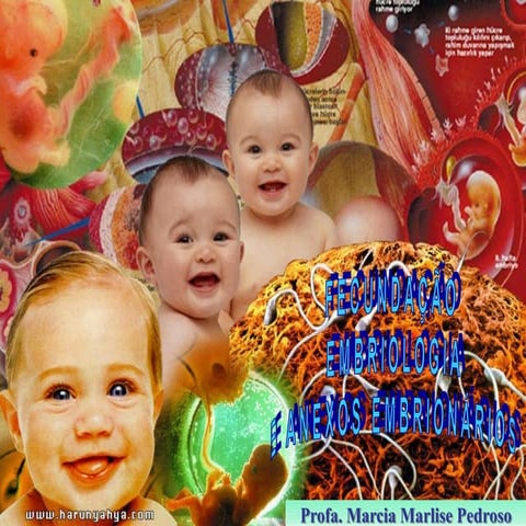 Aula 1° fecundação, embriologia e anexos embrionários