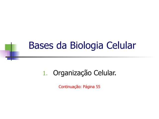Bio01