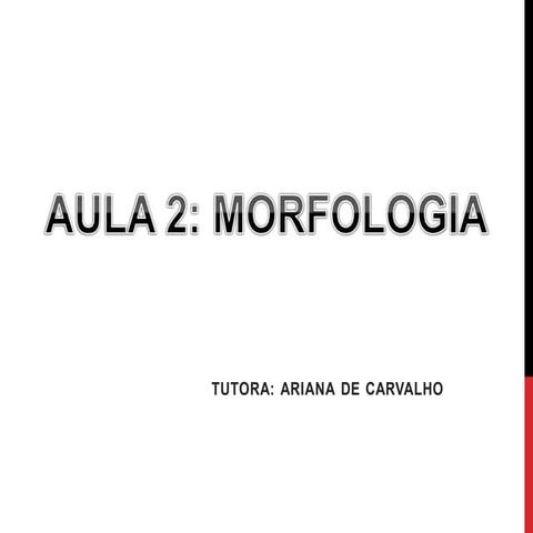 Aula - Morfologia