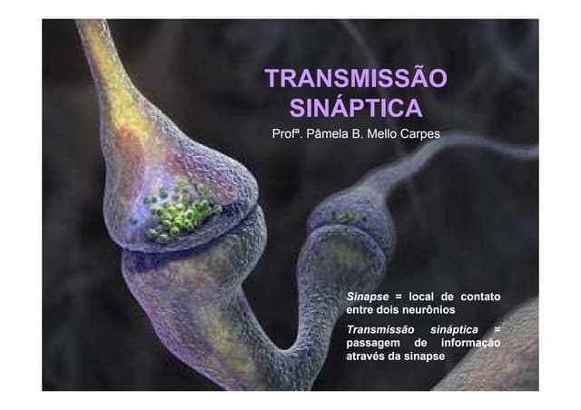 Aula Sobre Sinapse - Fisiologia