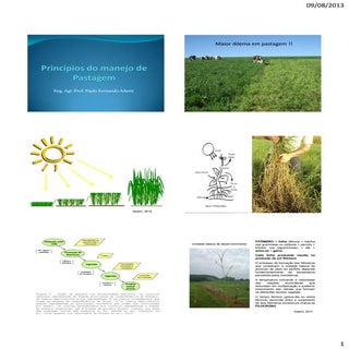 Aula 2   princípios do manejo de pa...