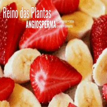 Aula 26 - Reino Plantae - Angiosperma.pdf