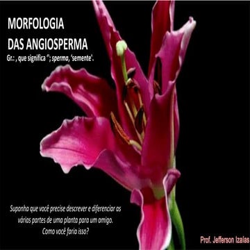 Aula 27 - Reino Plantae - Morfologia das Angiosperma.pdf