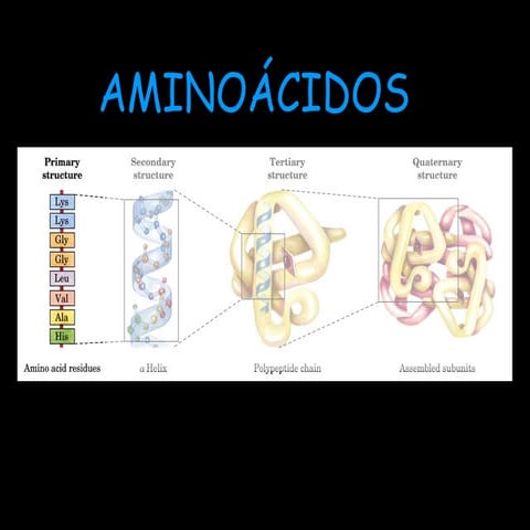 Aula 2 aminoacidos_1 | PPT