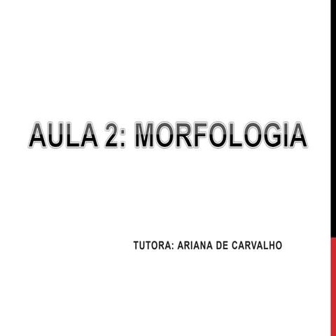 AULA 2 Morfologia.pdf