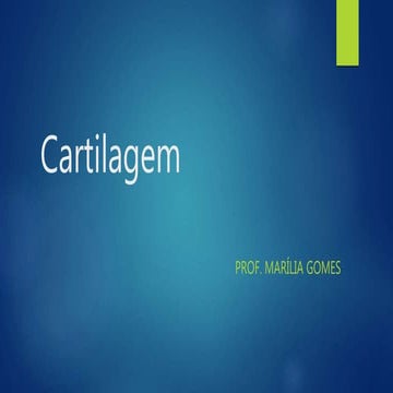 Tecido cartilaginoso -  Anatomia humana