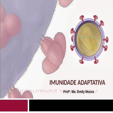 Aula 3- Imunidae Adaptativa.pptxlpç,llllllllllllllllll