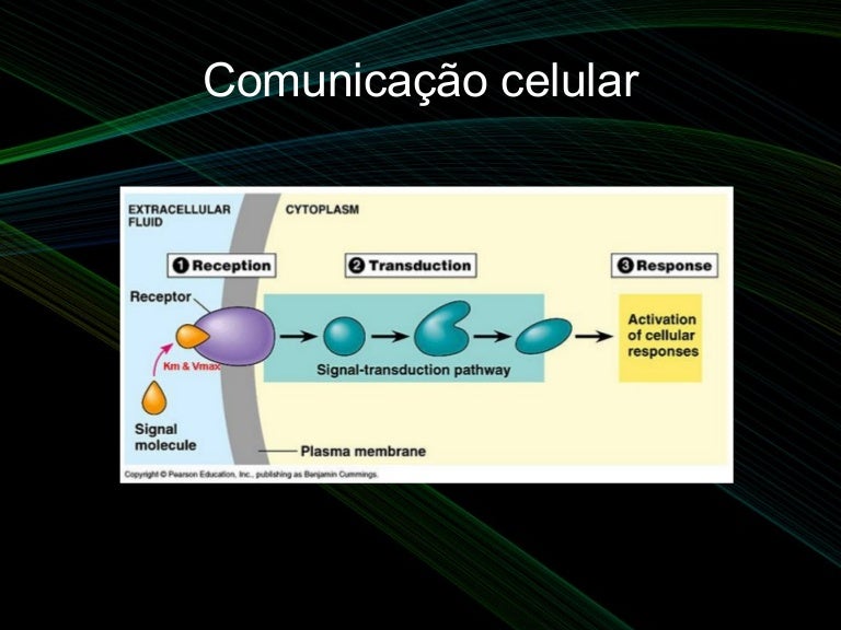 Comunicação Celular Por Meio De Sinais Quimicos