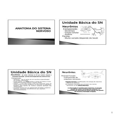 Aula 3 neuroanatomia parte 1