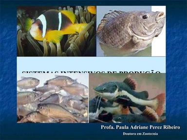 Aula 3   Sistemas Super Intensivos