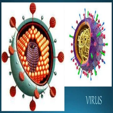 Virus, mapa conceptual preciso y directo | PPTX