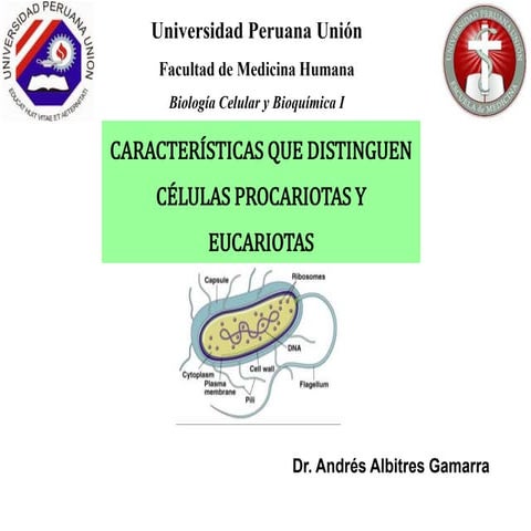 Célula procariotas y eucariotas | PPTX