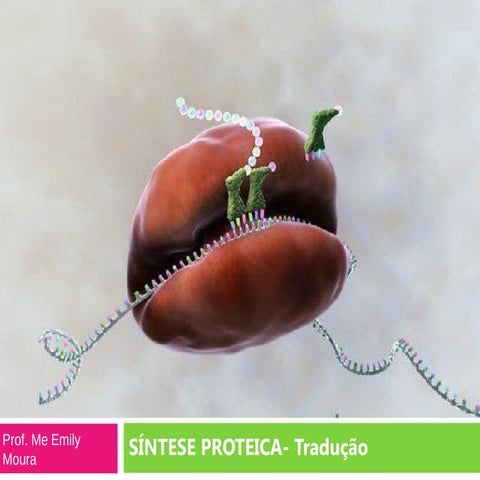 Aula 5. Tradução.pptxggggggggggggggggggg