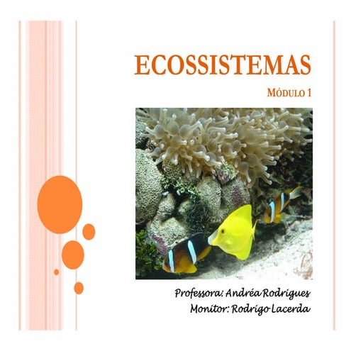 Aula5 2012 ecossistemas