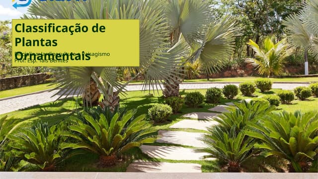 Aula 6 - Classificação das Plantas Ornamentais.pptx