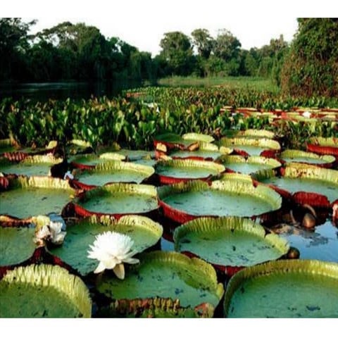 Aula 6 Prof. Guth Berger