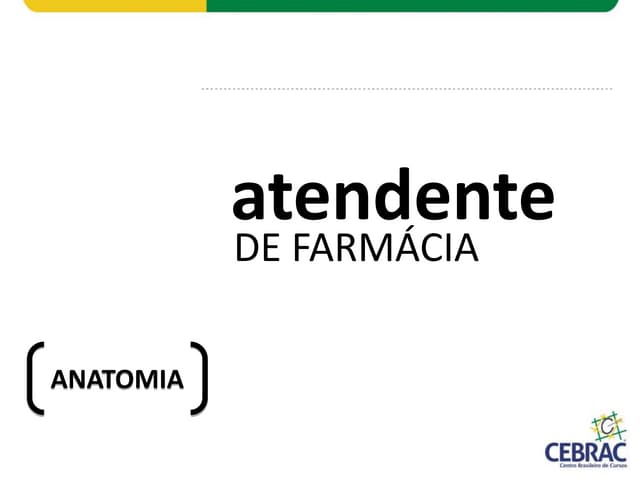 Anatomia - Sistema nervoso