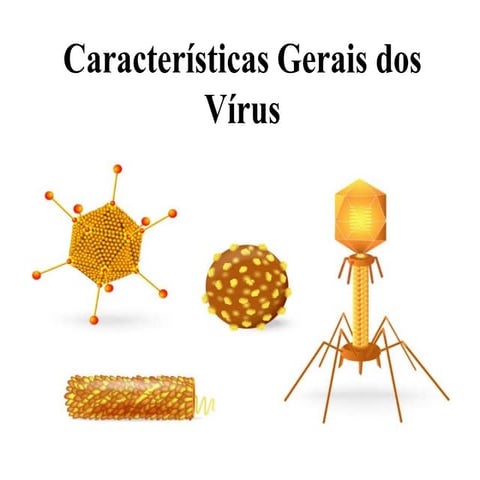 Características gerais dos vírus- Estrutura, ciclos | PDF