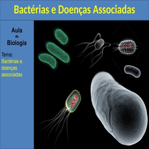 Comprehensive Biology Lesson on Bacteria and Related Diseases | PPTX